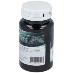 San Probiotic Ferment Daily 60 cápsulas | Farmacia Barata San Probiotic Ferment Daily 60 cápsulas | Farmacia Barata