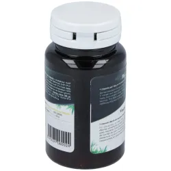 San Probiotic Ferment Daily 60 cápsulas | Farmacia Barata San Probiotic Ferment Daily 60 cápsulas | Farmacia Barata