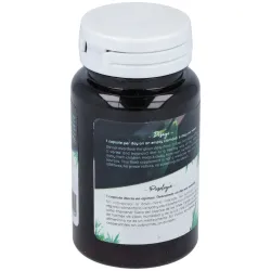 San Probiotic Ferment Daily 60 cápsulas | Farmacia Barata San Probiotic Ferment Daily 60 cápsulas | Farmacia Barata