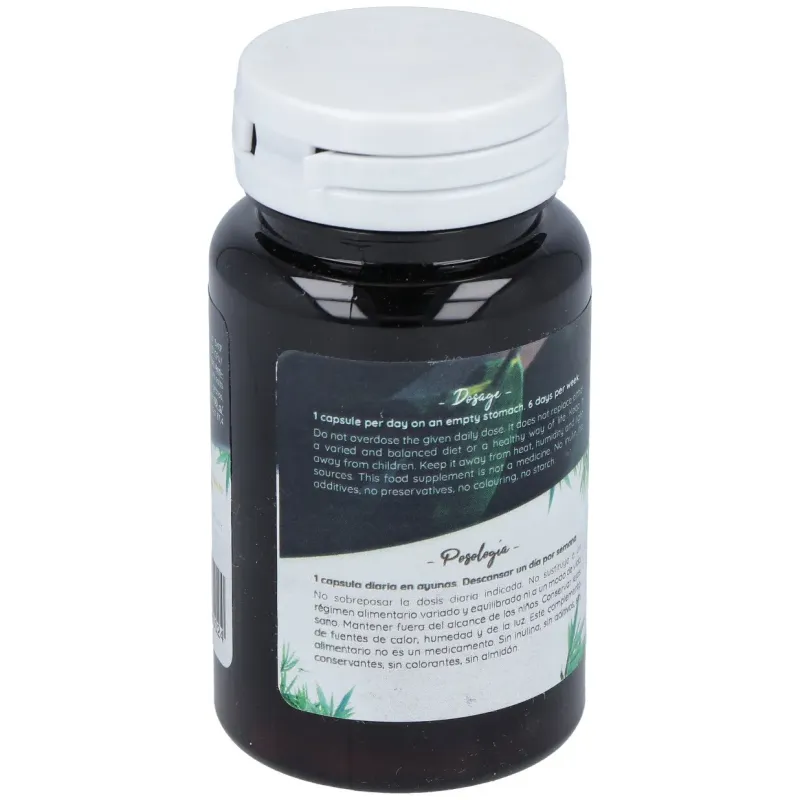 San Probiotic Ferment Daily 60 cápsulas | Farmacia Barata San Probiotic Ferment Daily 60 cápsulas | Farmacia Barata