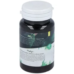 San Probiotic Ferment Daily 60 cápsulas | Farmacia Barata San Probiotic Ferment Daily 60 cápsulas | Farmacia Barata