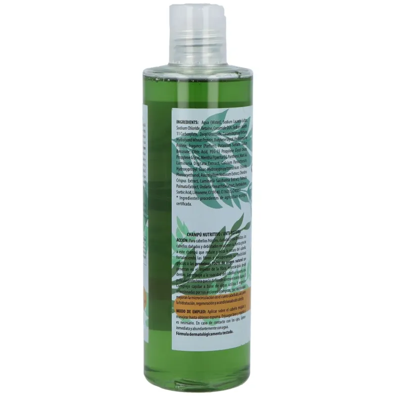 Algologi Champú Prot 342 ml | Farmacia Barata Algologi Champú Prot 342 ml | Farmacia Barata