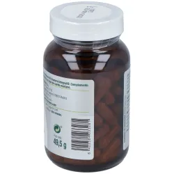 Granero Cardo Mariano Plus | Farmacia Barata