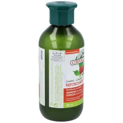 Corpore Sano Champú Ginseng Eco 300ml | Farmacia Barata Corpore Sano Champú Ginseng Eco 300ml | Farmacia Barata
