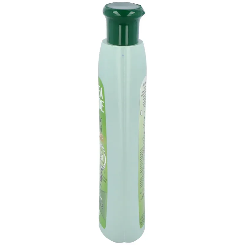 Romero Champú Antigrasa, 400ml, Verde | Farmacia Barata Romero Champú Antigrasa, 400ml, Verde | Farmacia Barata