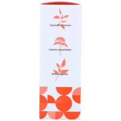 Capsicum Gel Calor Terpenic 100 ml | Farmacia Barata Capsicum Gel Calor Terpenic 100 ml | Farmacia Barata