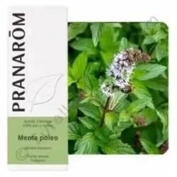 Terpenic Esencia Menta Poleo, 10 ml