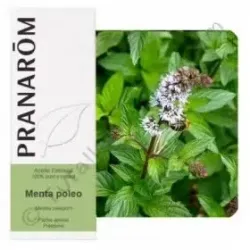 Terpenic Esencia Menta Poleo 10ml | Farmacia Barata Terpenic Esencia Menta Poleo 10ml | Farmacia Barata