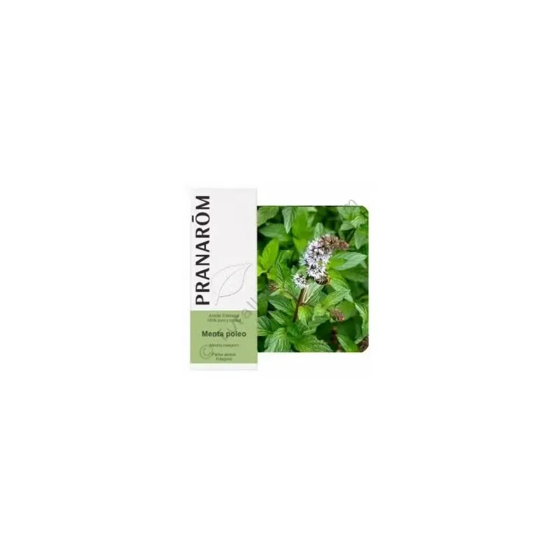Terpenic Esencia Menta Poleo 10ml | Farmacia Barata Terpenic Esencia Menta Poleo 10ml | Farmacia Barata