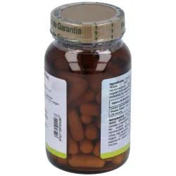 CFN Rhodiola Rosea 60 Cápsulas | Farmacia Barata CFN Rhodiola Rosea 60 Cápsulas | Farmacia Barata
