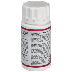 Equisalud Holomega Memory 50 cápsulas | Farmacia Barata Equisalud Holomega Memory 50 cápsulas | Farmacia Barata