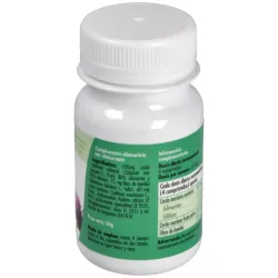GHF Cardo Mariano 100 comprimidos | Farmacia Barata GHF Cardo Mariano 100 comprimidos | Farmacia Barata