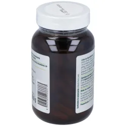 El Granero Ginkgo Biloba Forte | Farmacia Barata El Granero Ginkgo Biloba Forte | Farmacia Barata