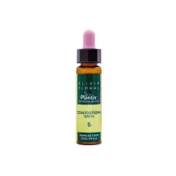 Plantis Elixir Floral Ceratostigma Nº5, 10 ml