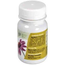 GHF Echinacea 500 mg 100 Comprimidos | Farmacia Barata