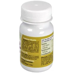 GHF Echinacea 500 mg 100 Comprimidos | Farmacia Barata