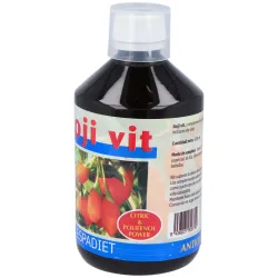 Montstar Goji Vit Jugo 500 ml | Farmacia Barata Montstar Goji Vit Jugo 500 ml | Farmacia Barata