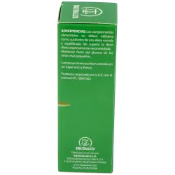Holoextract Viscum Album Muérdago | Farmacia Barata Holoextract Viscum Album Muérdago | Farmacia Barata