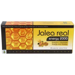 Tegor Energy 2000 Jalea Real, 20 Ampollas