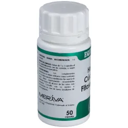 Holofit Curcuma Fitosomada 50 Cápsulas | Farmacia Barata Holofit Curcuma Fitosomada 50 Cápsulas | Farmacia Barata