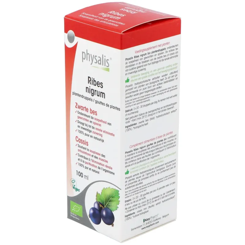Physalis Extracto Grosellero Negro Bio 100 ml | Farmacia Barata