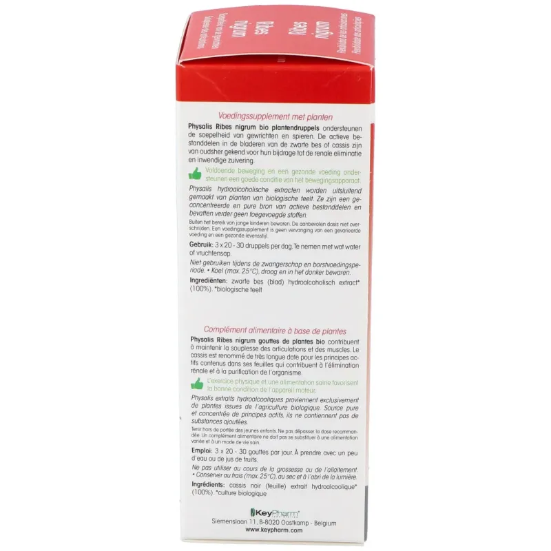 Physalis Extracto Grosellero Negro Bio 100 ml | Farmacia Barata