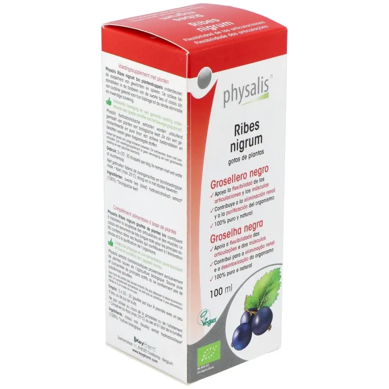 Physalis Extracto Grosellero Negro Bio 100 ml | Farmacia Barata