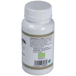 Ortocel Cúrcuma 500 mg | Farmacia Barata Ortocel Cúrcuma 500 mg | Farmacia Barata