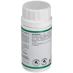 Holofit Pino Pycnogenol 50 cápsulas | Farmacia Barata Holofit Pino Pycnogenol 50 cápsulas | Farmacia Barata
