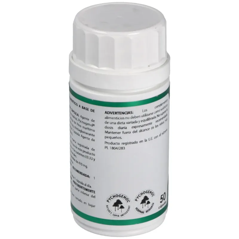 Holofit Pino Pycnogenol 50 cápsulas | Farmacia Barata Holofit Pino Pycnogenol 50 cápsulas | Farmacia Barata