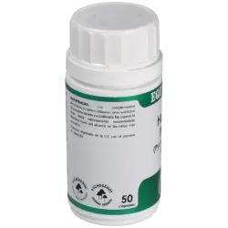 Holofit Pino Pycnogenol 50 cápsulas | Farmacia Barata Holofit Pino Pycnogenol 50 cápsulas | Farmacia Barata