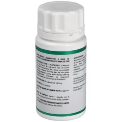 Holofit Arándano Rojo 50 Cápsulas | Farmacia Barata