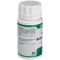 Holofit Arándano Rojo 50 Cápsulas | Farmacia Barata