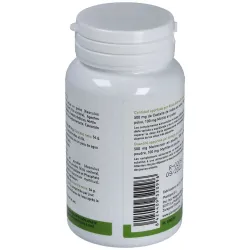 Plantapol Castaño de Indias + Vid Roja + Mirtilo | Farmacia Barata Plantapol Castaño de Indias + Vid Roja + Mirtilo | Farmacia Barata