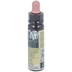Plantis Castaño Rojo-25 Eco 10 ml | Farmacia Barata Plantis Castaño Rojo-25 Eco 10 ml | Farmacia Barata