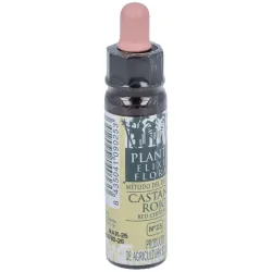 Plantis Castaño Rojo-25 Eco 10 ml | Farmacia Barata Plantis Castaño Rojo-25 Eco 10 ml | Farmacia Barata