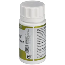 Holofungi Melena de León 50 cápsulas | Farmacia Barata Holofungi Melena de León 50 cápsulas | Farmacia Barata