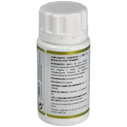 Holofungi Melena de León 50 cápsulas | Farmacia Barata Holofungi Melena de León 50 cápsulas | Farmacia Barata