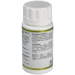 Holofungi Melena de León 50 cápsulas | Farmacia Barata Holofungi Melena de León 50 cápsulas | Farmacia Barata