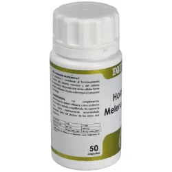 Holofungi Melena de León 50 cápsulas | Farmacia Barata Holofungi Melena de León 50 cápsulas | Farmacia Barata
