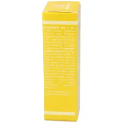 Yap Digestivo y Páncreas 31 ml | Farmacia Barata