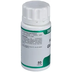 Equisalud Holofit Glucemin | Farmacia Barata Equisalud Holofit Glucemin | Farmacia Barata