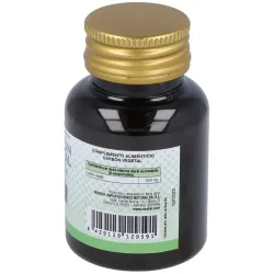 Carbon Vegetal 100 comprimidos Noefar | Farmacia Barata