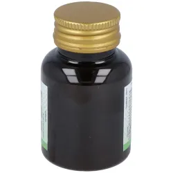 Carbon Vegetal 100 comprimidos Noefar | Farmacia Barata