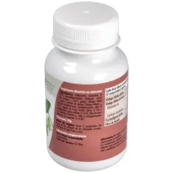 GHF Ginkgo Biloba 700 mg, 100 comp | Farmacia Barata GHF Ginkgo Biloba 700 mg, 100 comp | Farmacia Barata