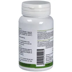 Plantapol Clorela 435 mg 60 comprimidos | Farmacia Barata Plantapol Clorela 435 mg 60 comprimidos | Farmacia Barata