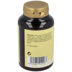 Plantis Bilobis (Ginkgo) | Farmacia Barata Plantis Bilobis (Ginkgo) | Farmacia Barata