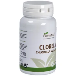 Plantapol Clorela 435 mg 60 comprimidos | Farmacia Barata Plantapol Clorela 435 mg 60 comprimidos | Farmacia Barata