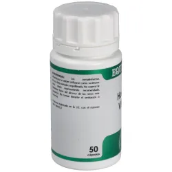 Holofit Vitex 50 cápsulas | Farmacia Barata Holofit Vitex 50 cápsulas | Farmacia Barata