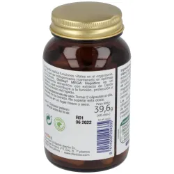 Mega Hepático 60 Cápsulas | Farmacia Barata Mega Hepático 60 Cápsulas | Farmacia Barata
